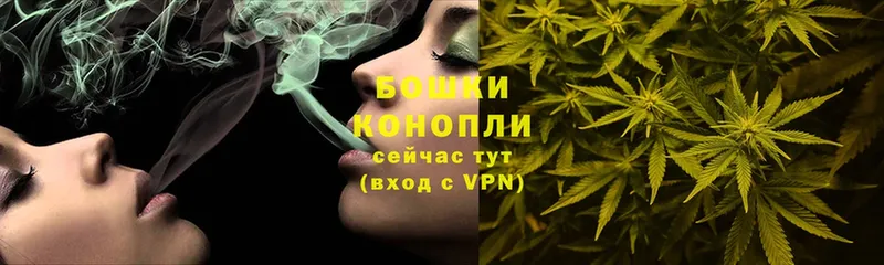 Марихуана SATIVA & INDICA  Алейск 